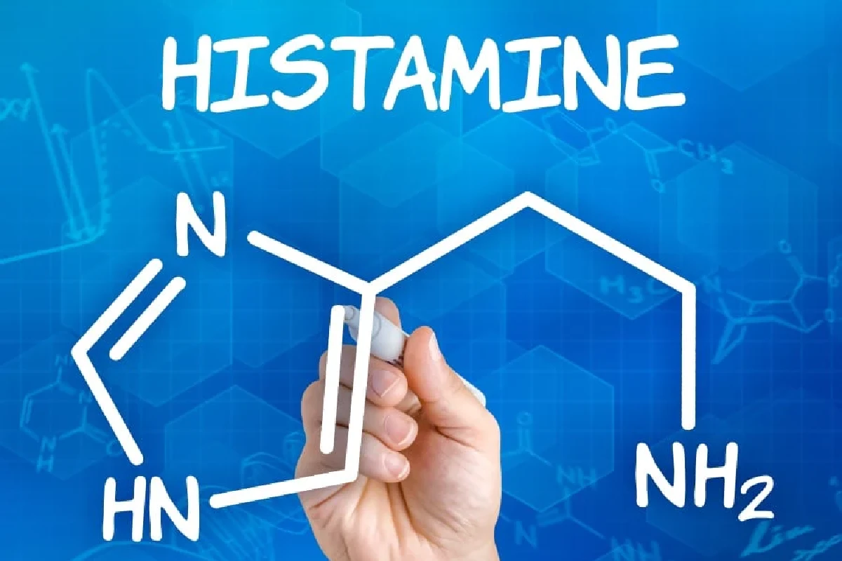 Histamine Antihistamines and Properties Fitful Living