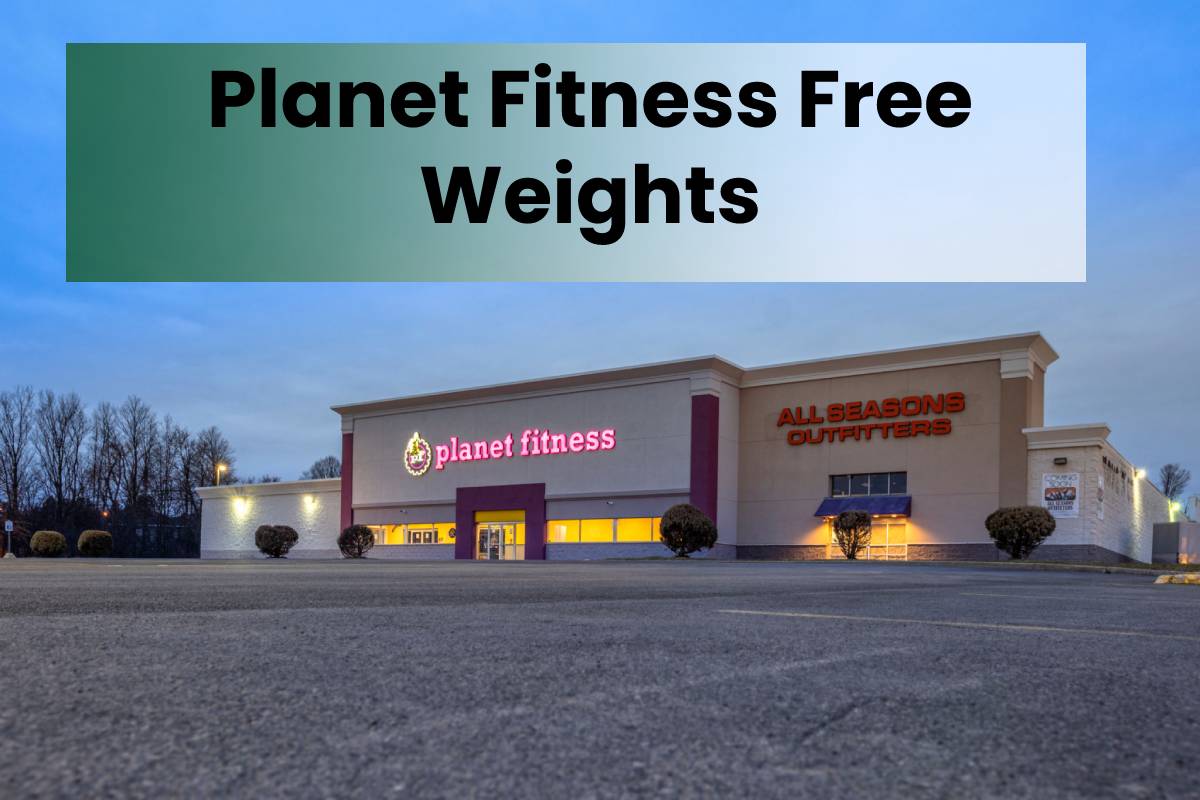 Fitness Free Weights Fitful Living