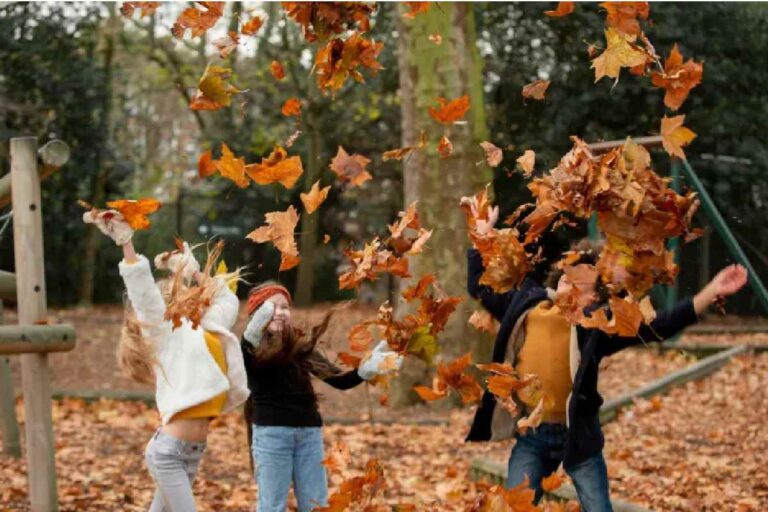 Tips for Fun Activities in the Fall 