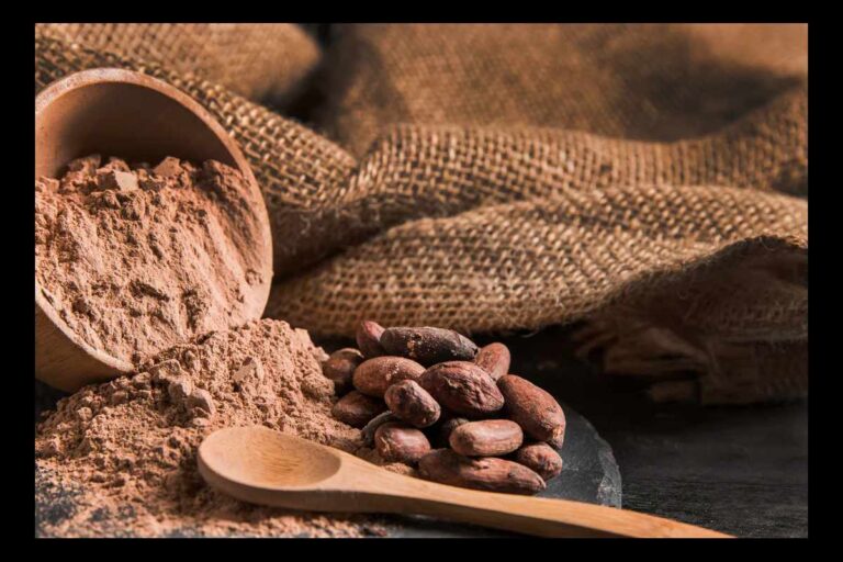Cacao Powder: A Health-Packed Superfood for Wellness