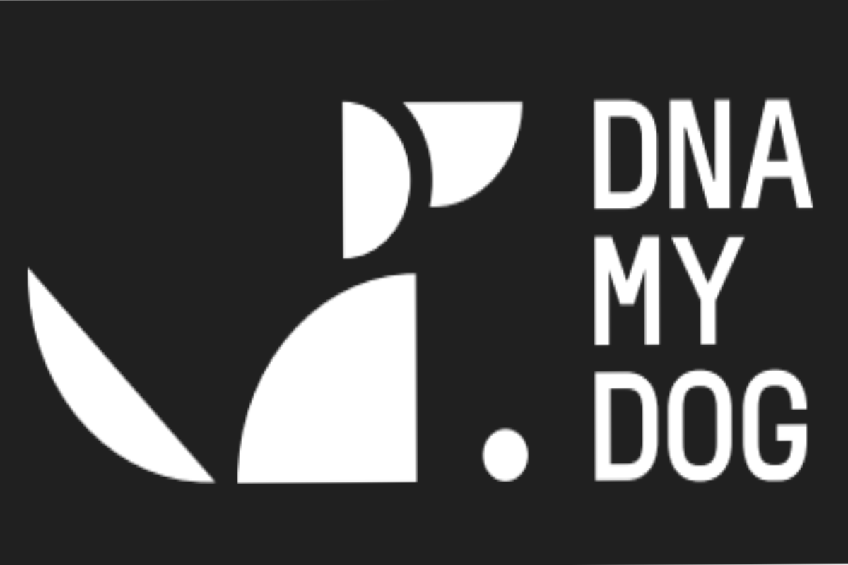 Image default
